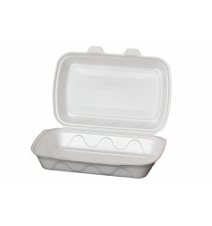 Container Panini (200 buc)