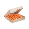 Контейнер ECO TABOX 2500 ml