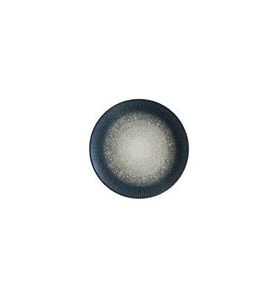 Arctic flat plate 25cm Bonna